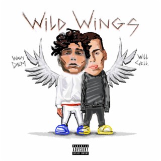 Wild Wings