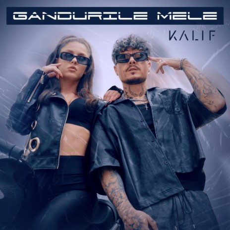 Gandurile Mele | Boomplay Music