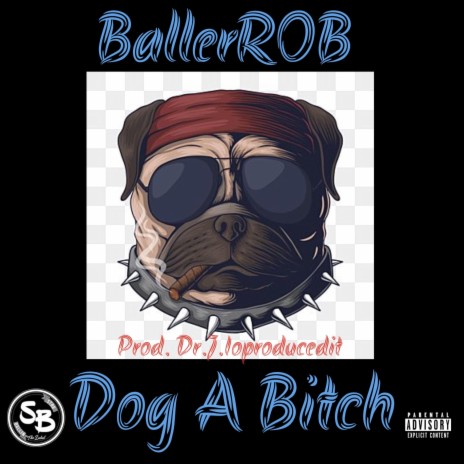 Dog A Bitch | Boomplay Music
