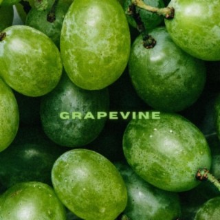 Grapevine