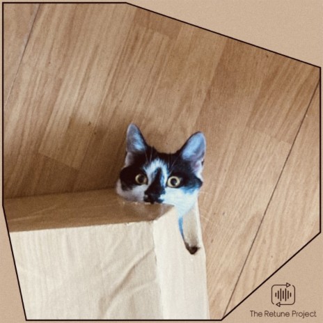 Cat in the Box ft. The Retune Project | Boomplay Music