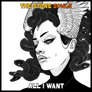 All I Want (Radio Edit) lyrics | Boomplay Music