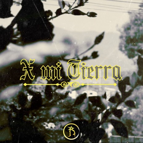 X Mi Tierra