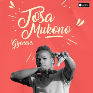 Tosa Mukono lyrics | Boomplay Music