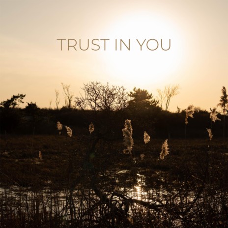 TRUST IN YOU ft. Emmarie | Boomplay Music