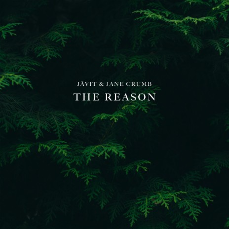 The Reason (feat. Jane Crumb) | Boomplay Music