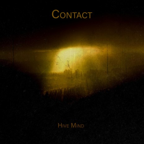 Contact