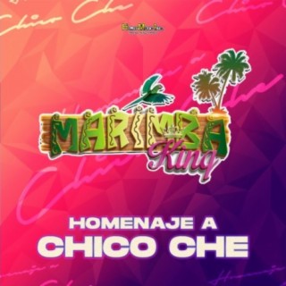 Homenaje a Chico Che