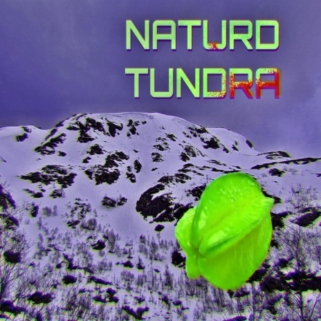 Tundra | Boomplay Music