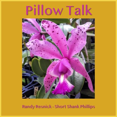 Pillow Talk ft. Short Shank Phillips | Boomplay Music