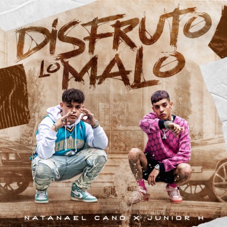 Bailarín cubrir salami Junior H - Disfruto Lo Malo ft. Natanael Cano MP3 Download & Lyrics |  Boomplay
