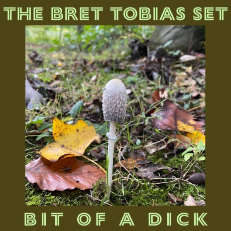 Bit of a Dick | Boomplay Music