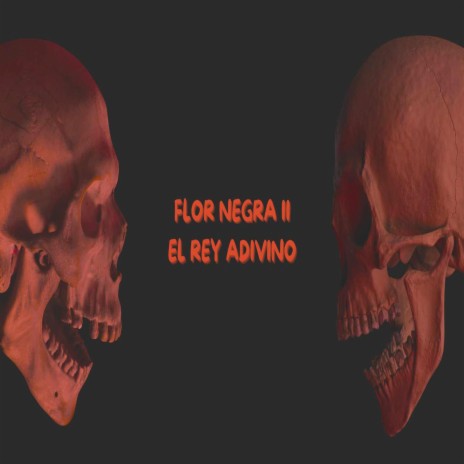 Flor Negra II | Boomplay Music