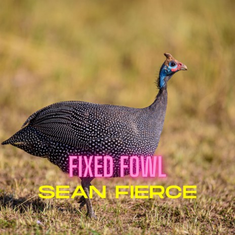 Fixed Fowl | Boomplay Music