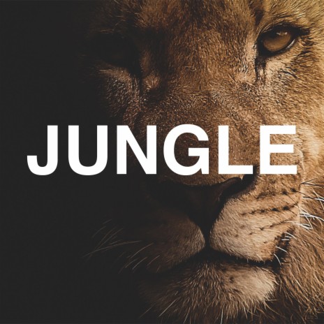 Jungle | Boomplay Music