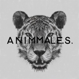 Animales