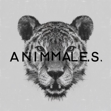 Animales | Boomplay Music