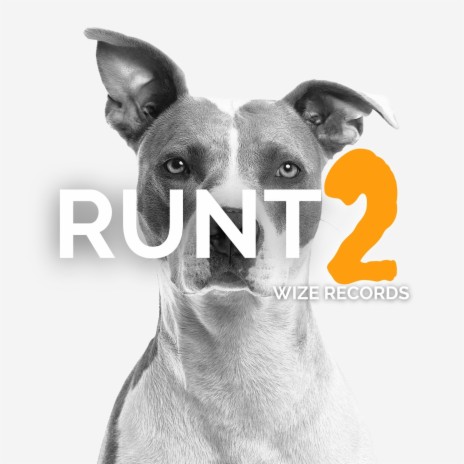 Runt 2 | Boomplay Music