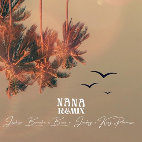NANA Remix [feat. Joeboy, King Promise & Bien] | Boomplay Music