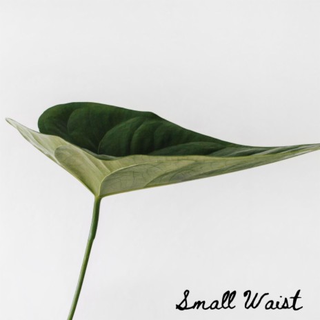 small waist | Boomplay Music