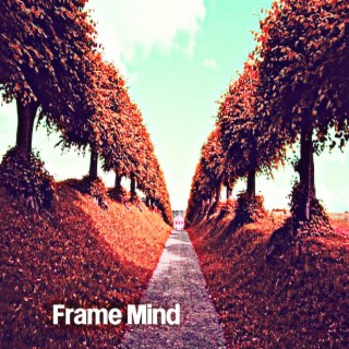 Frame Mind