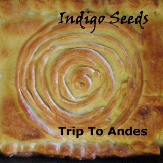 Trip To Andes