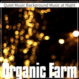 Quiet Music Background Music at Night