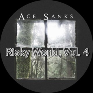 Risky World, Vol. 4