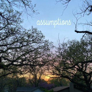 assumptions