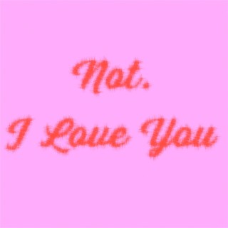 Not I Love You