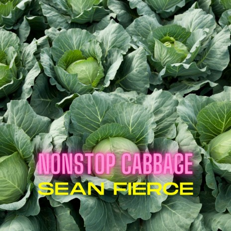 Nonstop Cabbage | Boomplay Music