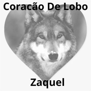 Coração De Lobo