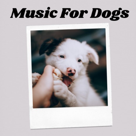 Barking Dog ft. Music For Dogs Peace, Relaxing Puppy Music & Calm Pets Music Academy | Boomplay Music