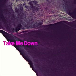 Take Me Down