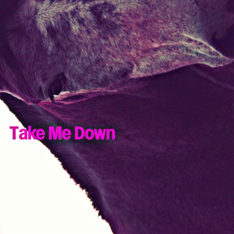 Take Me Down | Boomplay Music