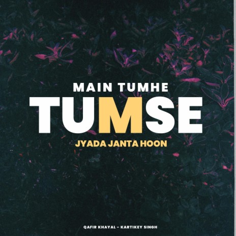 Main Tumhe Tumse Jyada Janta Hoon