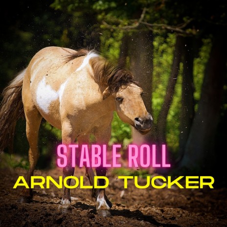 Stable Roll | Boomplay Music