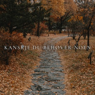 kanskje du behøver noen