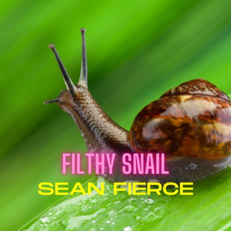 Filthy Snail | Boomplay Music