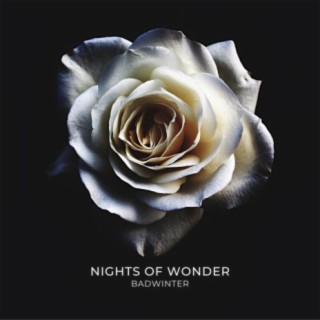 Nights of Wonder