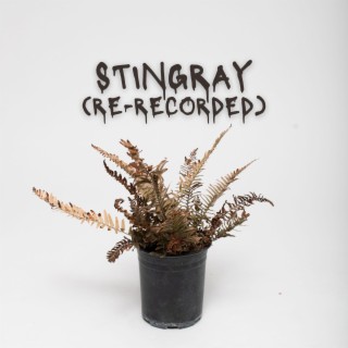 Stingray (Re-Recorded) lyrics | Boomplay Music