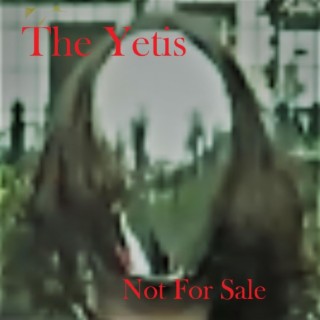 The Yetis