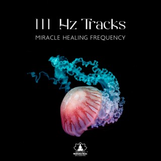 111 Hz Tracks: Miracle Healing Frequency