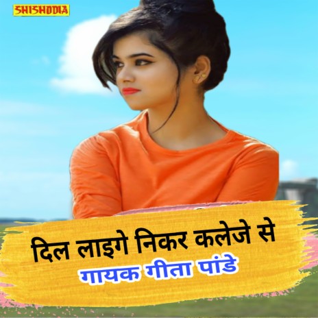 Dil Laige Nikar Kaleje Se | Boomplay Music