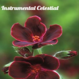 Instrumental Celestial