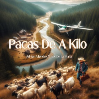 Pacas De A Kilo (En vivo)