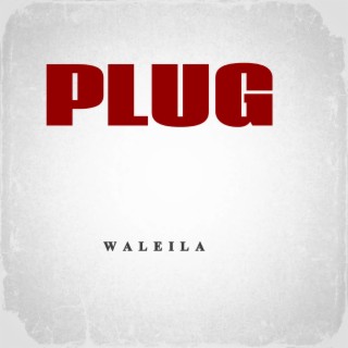Plug (English)