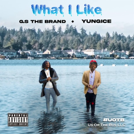 What I Like ft. G.S The Brand | Boomplay Music