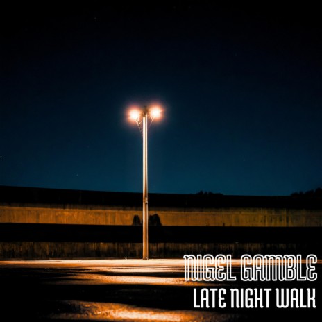 Late Night Walk | Boomplay Music