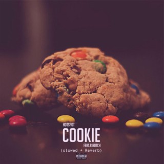 Cookie (Slowed + Reverb)